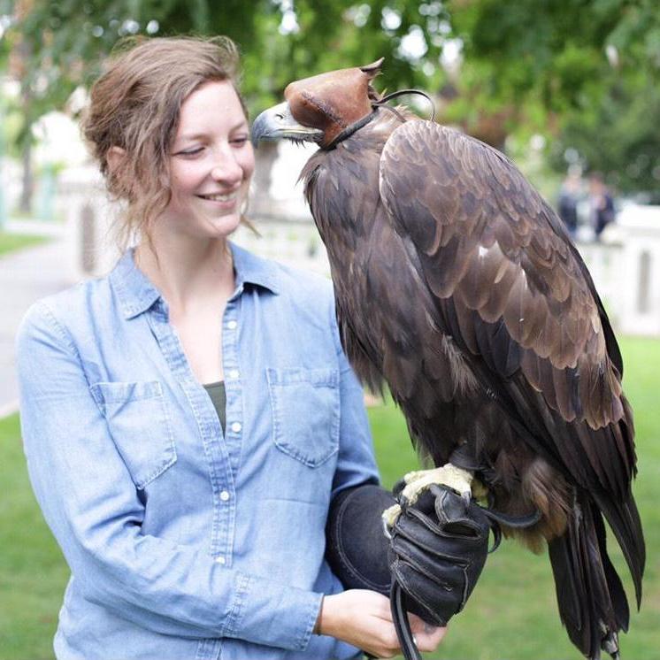 Lindsay holding a golden eagle in The Royal Gardens at Prague Castle (moments after the proposal). 2017