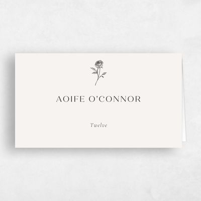 Dark Charcoal, Beige Wedding Place Card - Kerenza