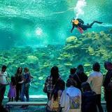 Seattle Aquarium
