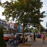 Elmwood Village