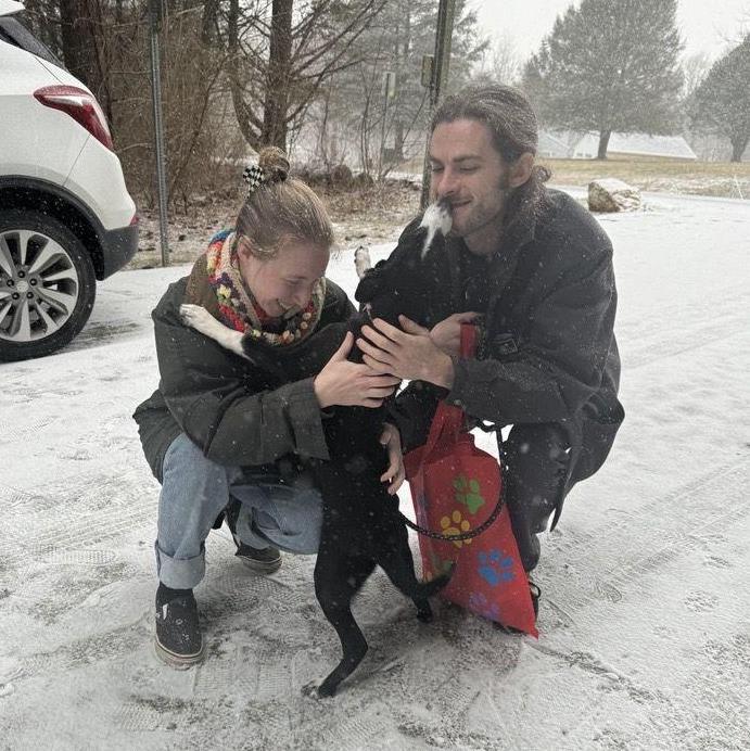 The day we adopted Sadie