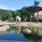 Cleveland Metroparks Zoo