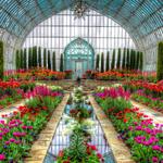 Como Park Zoo & Conservatory