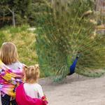Tracy Aviary at Liberty Park