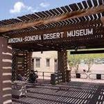 Arizona-Sonora Desert Museum