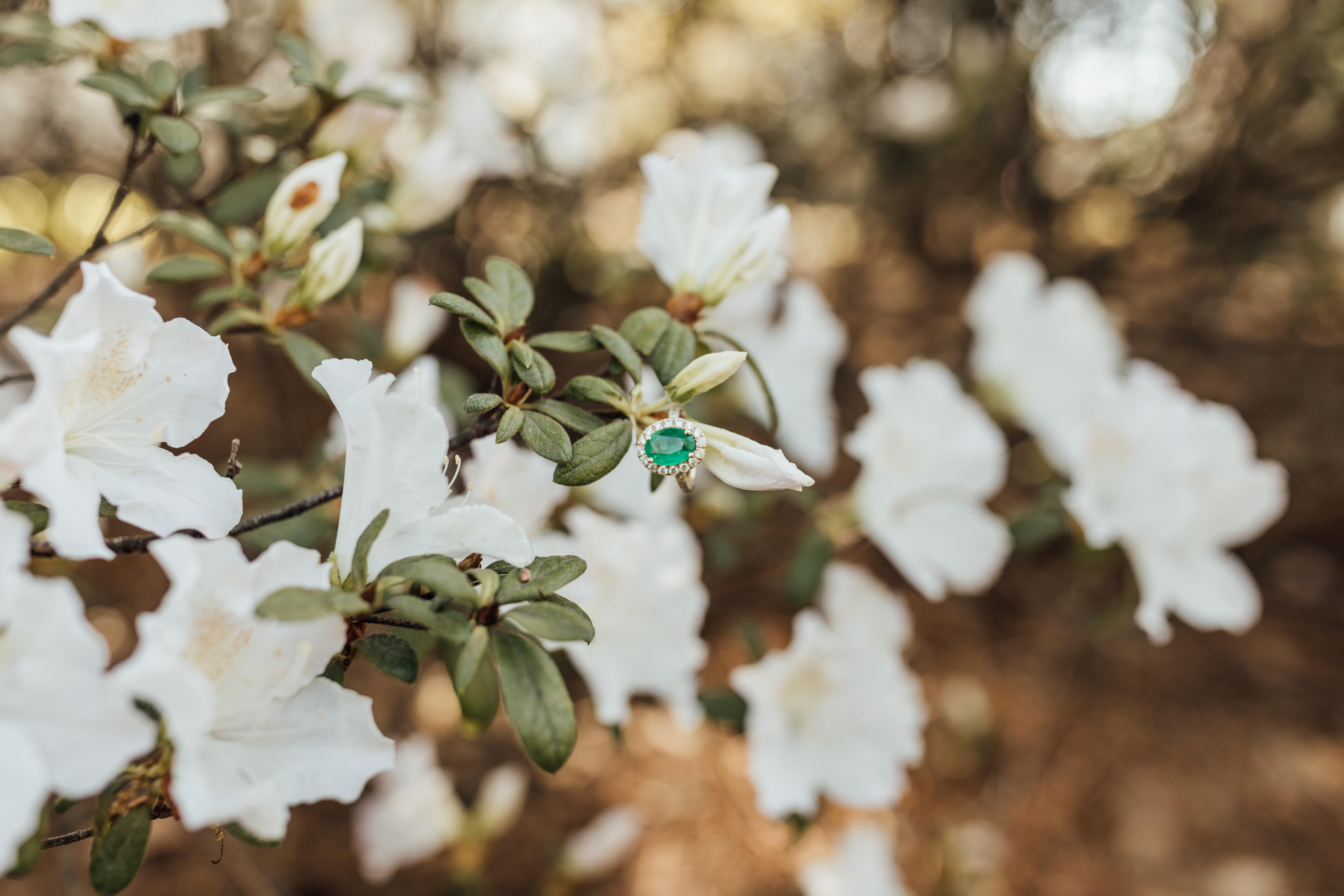 The Wedding Website of Alexa Dato and Matt Caudell