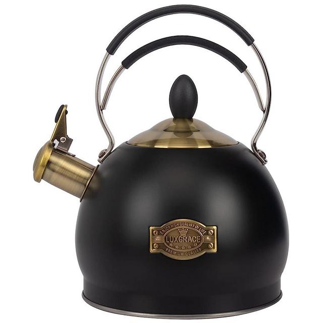 Whistling Tea Kettle Stainless Steel Teapot, Teakettle for Stovetop Induction Stove Top, Fast Boiling Heat Water Tea Pot 2.6 Quart