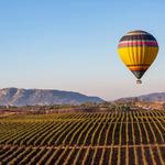 California Dreamin' Balloon Adventures