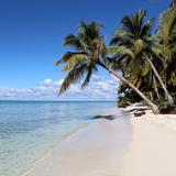 Saona Island Day Trip