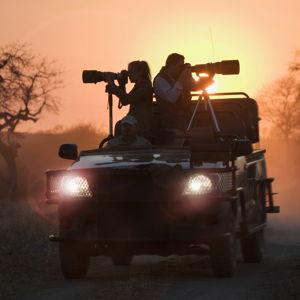 Game Drive at Phinda