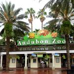 Audubon Zoo