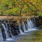 Ridley Creek State Park