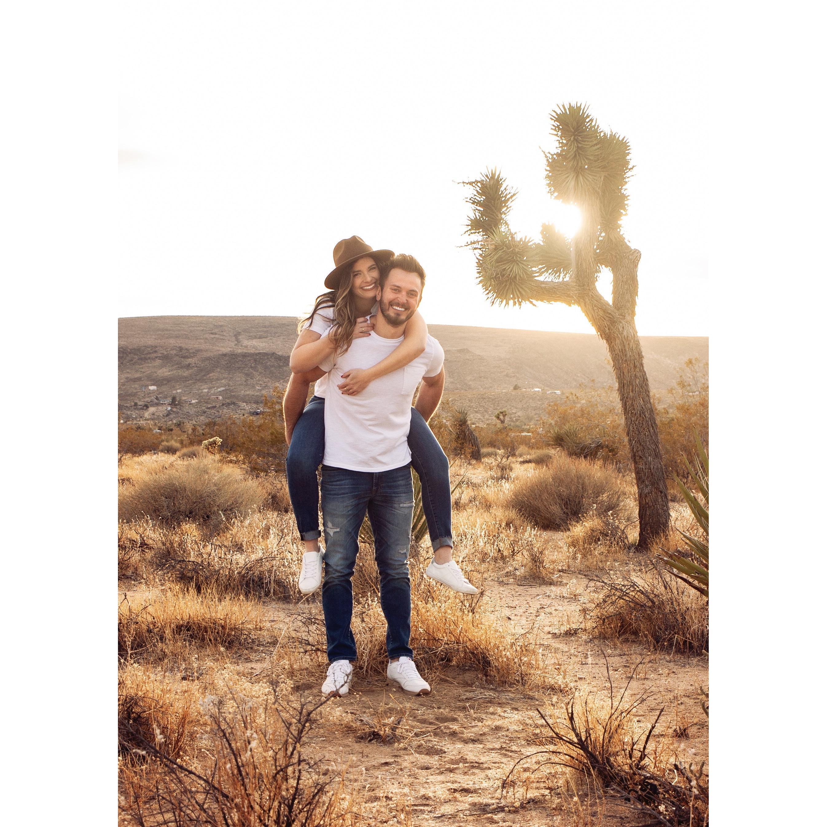 Joshua Tree, California