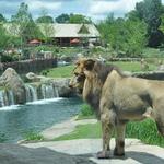 Cincinnati Zoo