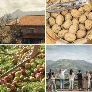 Honeymoon Cidery Tour in Spain