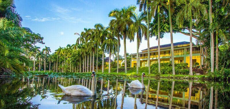 The Wedding Website of Lauren Goldstein and Guillermo Escalona