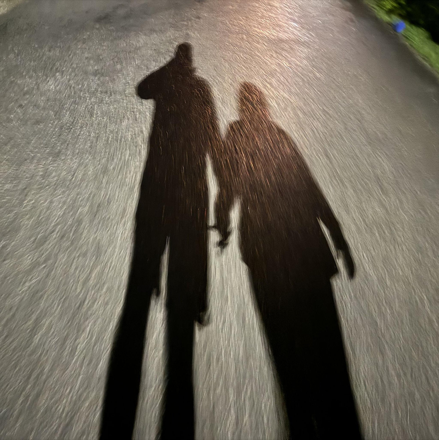 One of our favorite activities: an evening stroll with a sprinkling of star-gazing.