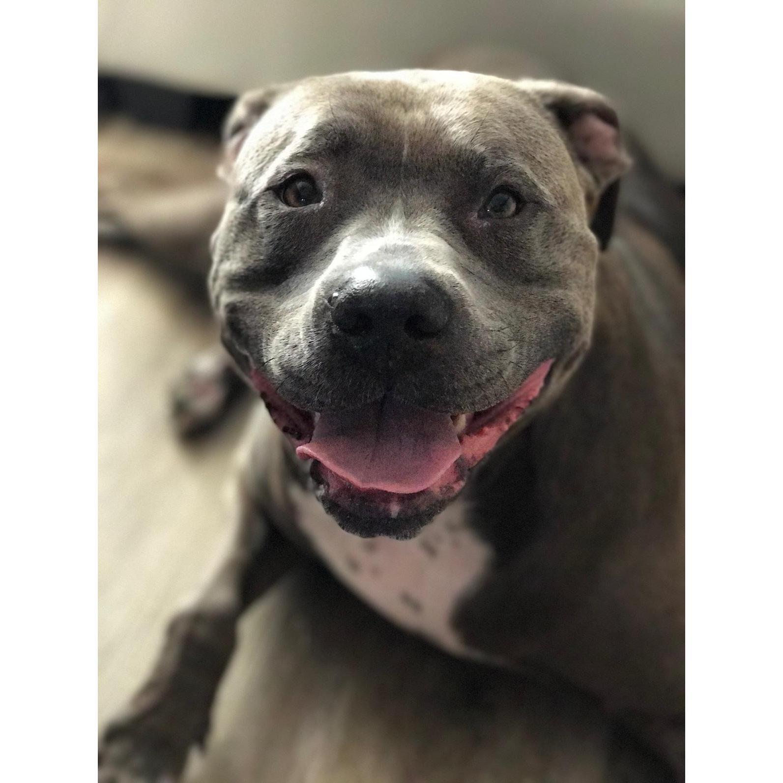 Our Beekcake.