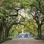 Savannah