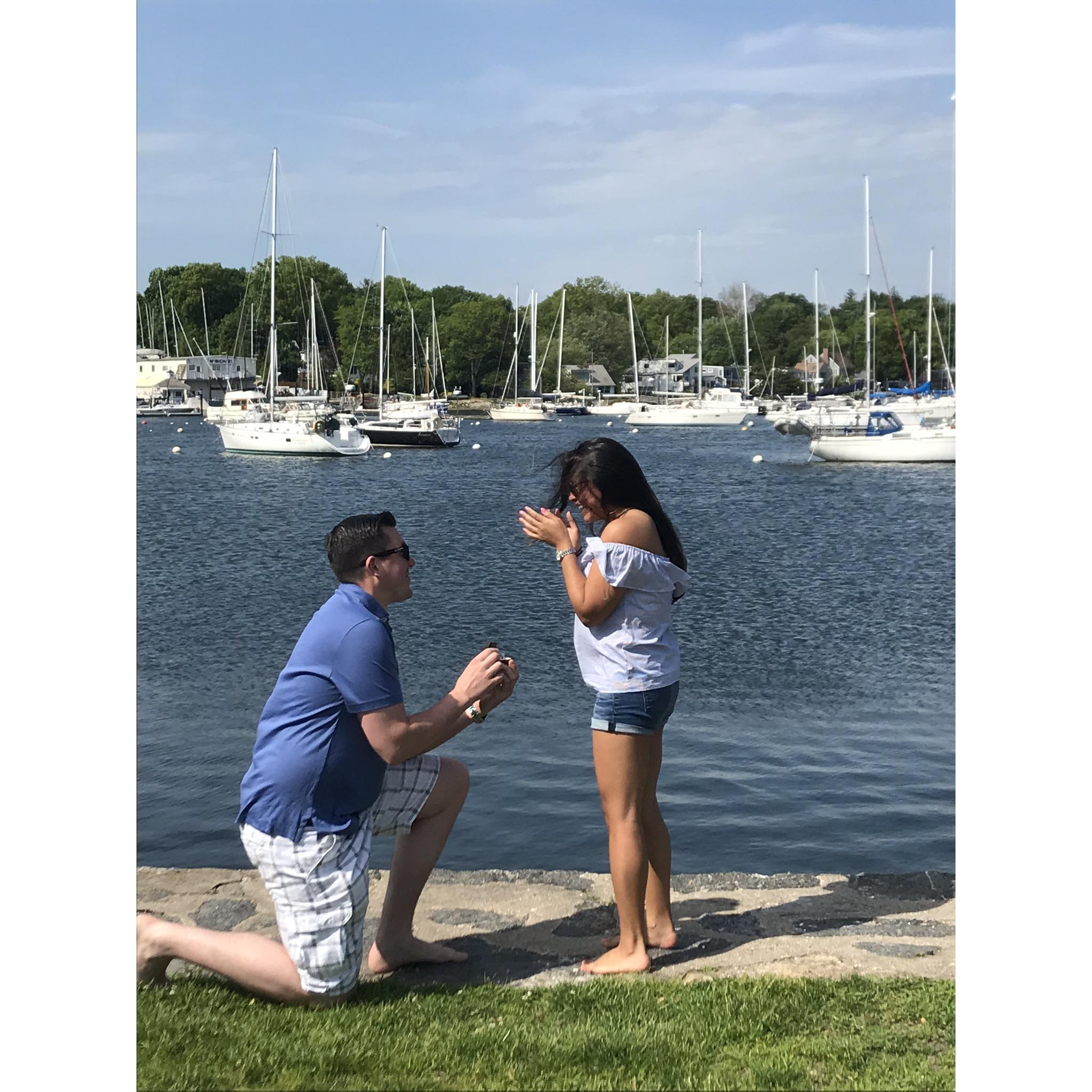 The proposal