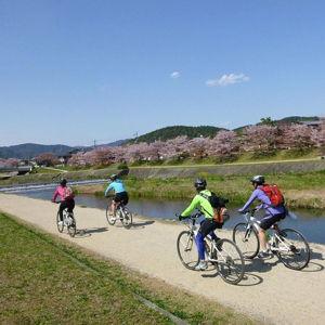 Kyoto Cycling Tour