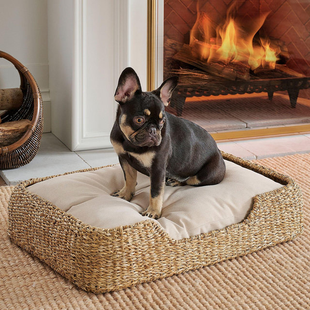 Safi Pet Bed Medium