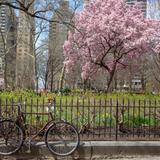 Rittenhouse Square