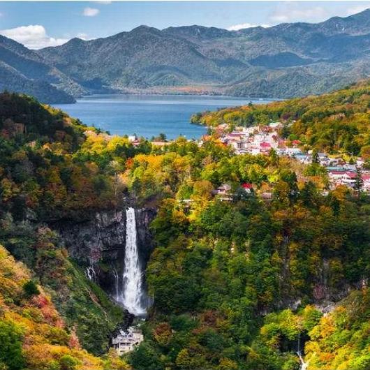 Nikko è una città incantevole situata nella prefettura di Tochigi, Giappone, celebre per la sua bellezza naturale e per i suoi importanti santuari e templi storici. Nikko ospita uno dei più grandi alberi sacri del Giappone, conosciuto come "Cedro Sacro di Nikko" (Nikko Sugi). Questo imponente albero ha più di 500 anni ed è considerato sacro per la sua antica presenza nel complesso del Santuario di Toshogu. È ampiamente venerato e rappresenta un simbolo di durata e spiritualità per i visitatori che lo incontrano.
Nikko is an enchanting town located in Tochigi Prefecture, Japan, famous for its natural beauty and important historical shrines and temples. Nikko is home to one of the largest sacred trees in Japan, known as the 'Sacred Cedar of Nikko' (Nikko Sugi). This imposing tree is over 500 years old and is considered sacred due to its ancient presence in the Toshogu Shrine complex. It is widely revered and is a symbol of durability and spirituality for visitors who encounter it.