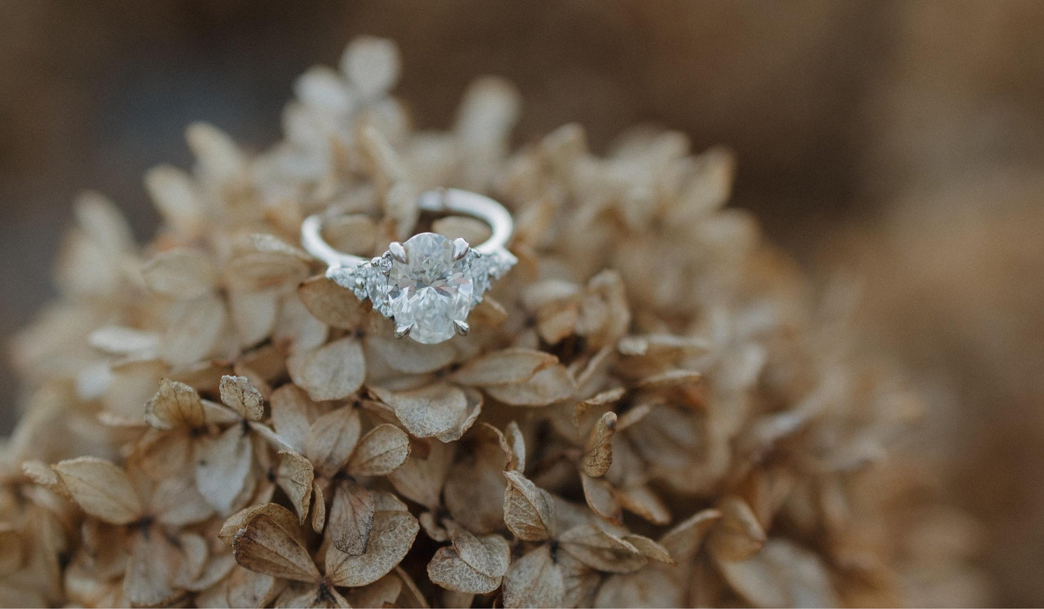 The Wedding Website of Danielle Margaret Vizthum and Ian James Iaconelli