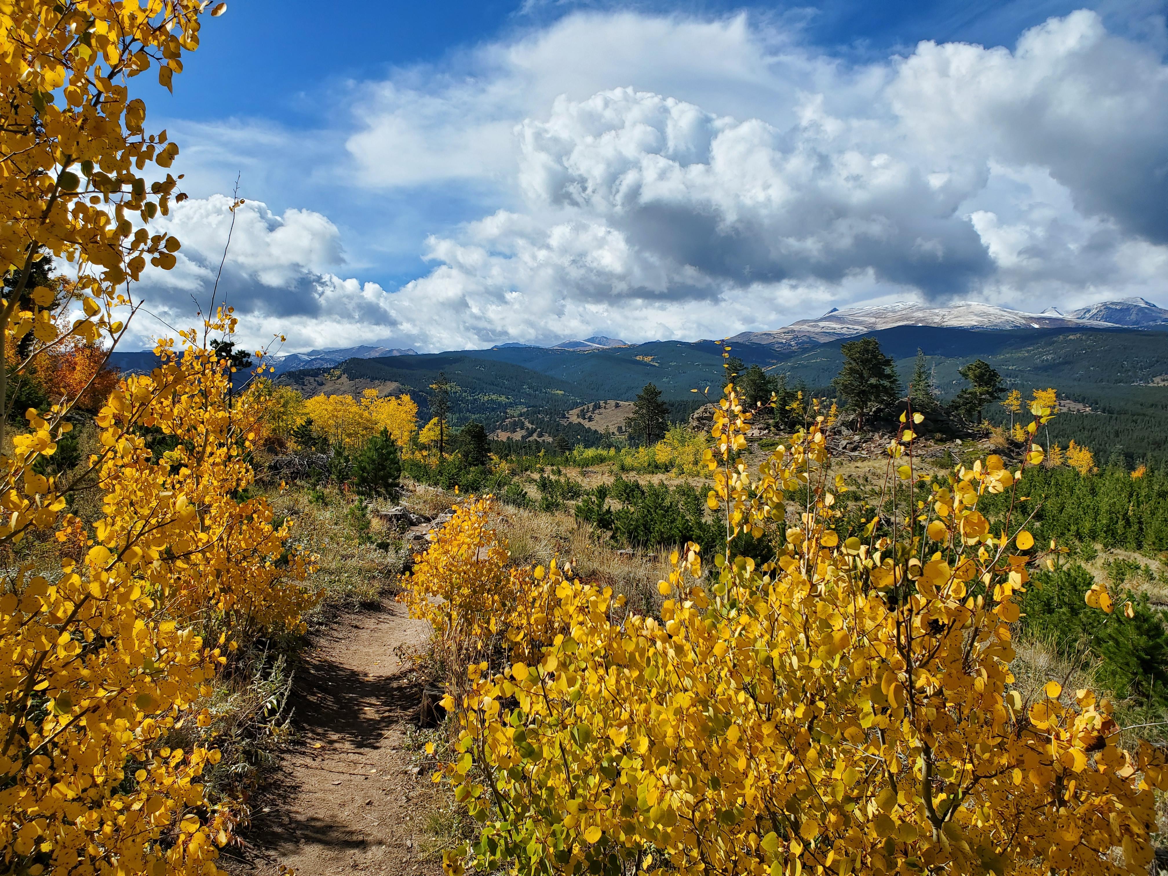 The Wedding Website of Liza Kohler and Nate McCoy