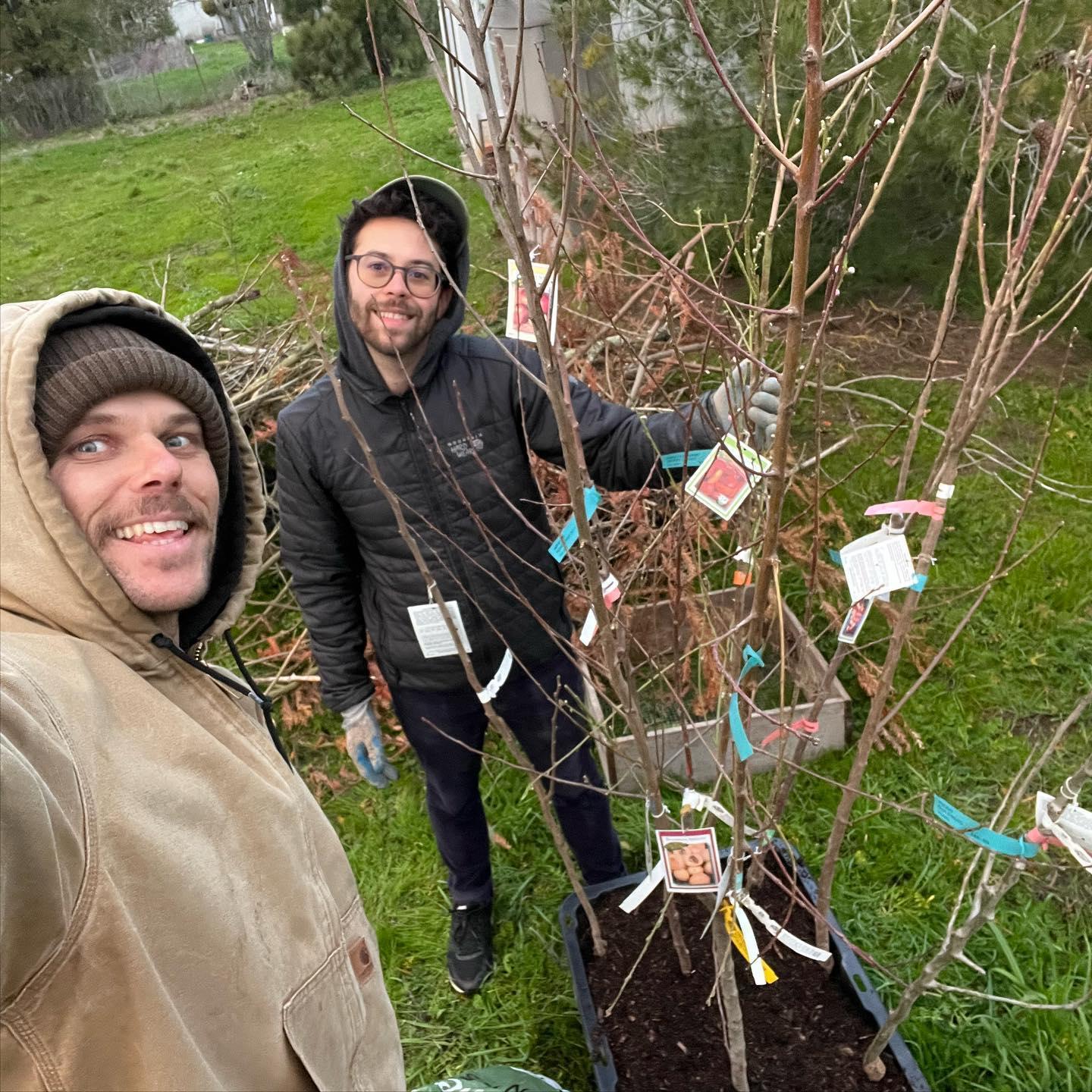 Getting ready to plant our orchard!