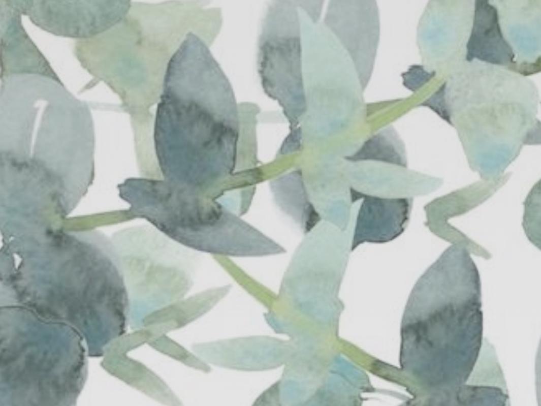 The Wedding Website of KaeLee McNeel and Hayden Skinner