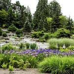 Bellevue Botanical Gardens