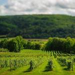 Annapolis Valley