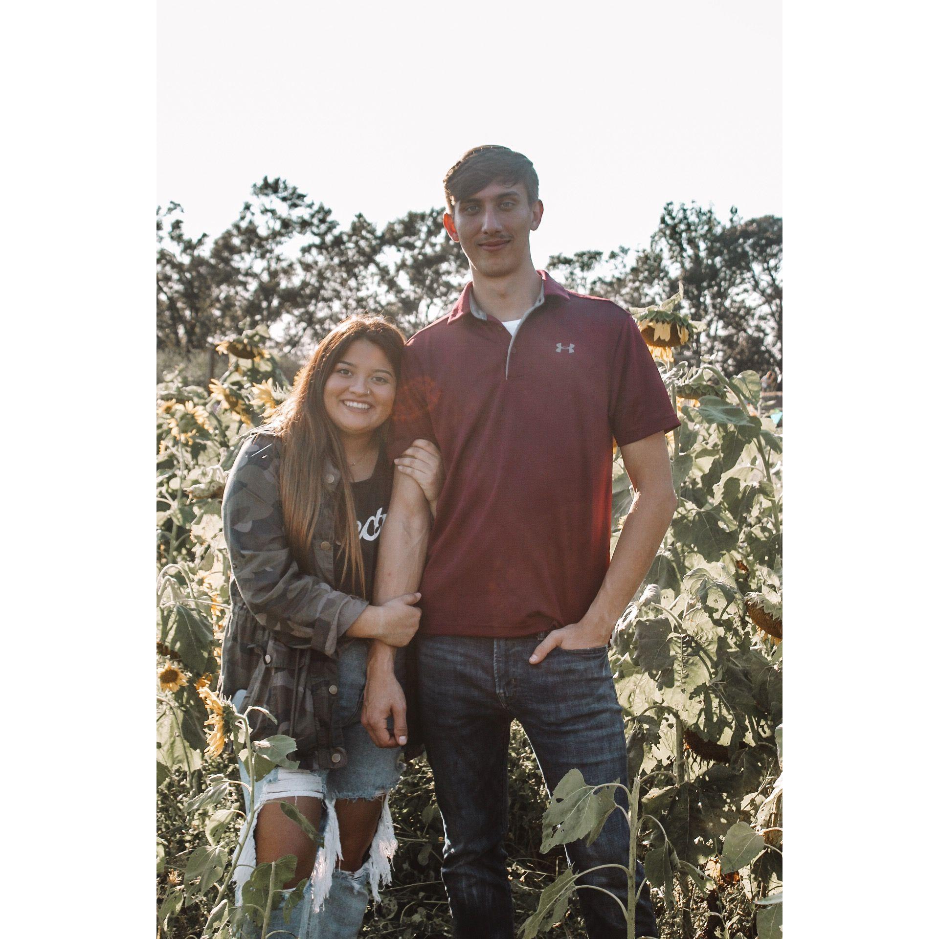 October 2020- Pumpkin Patch