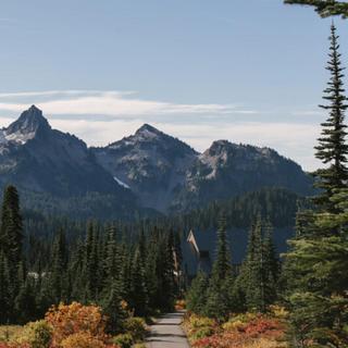 Mount Rainier National Park and Yakima Valley Wine Tasting for 2 - Seattle