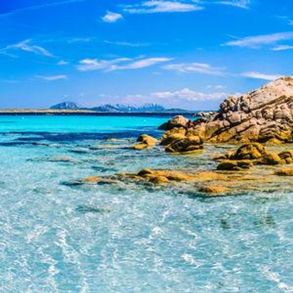 Sardinia Honeymoon