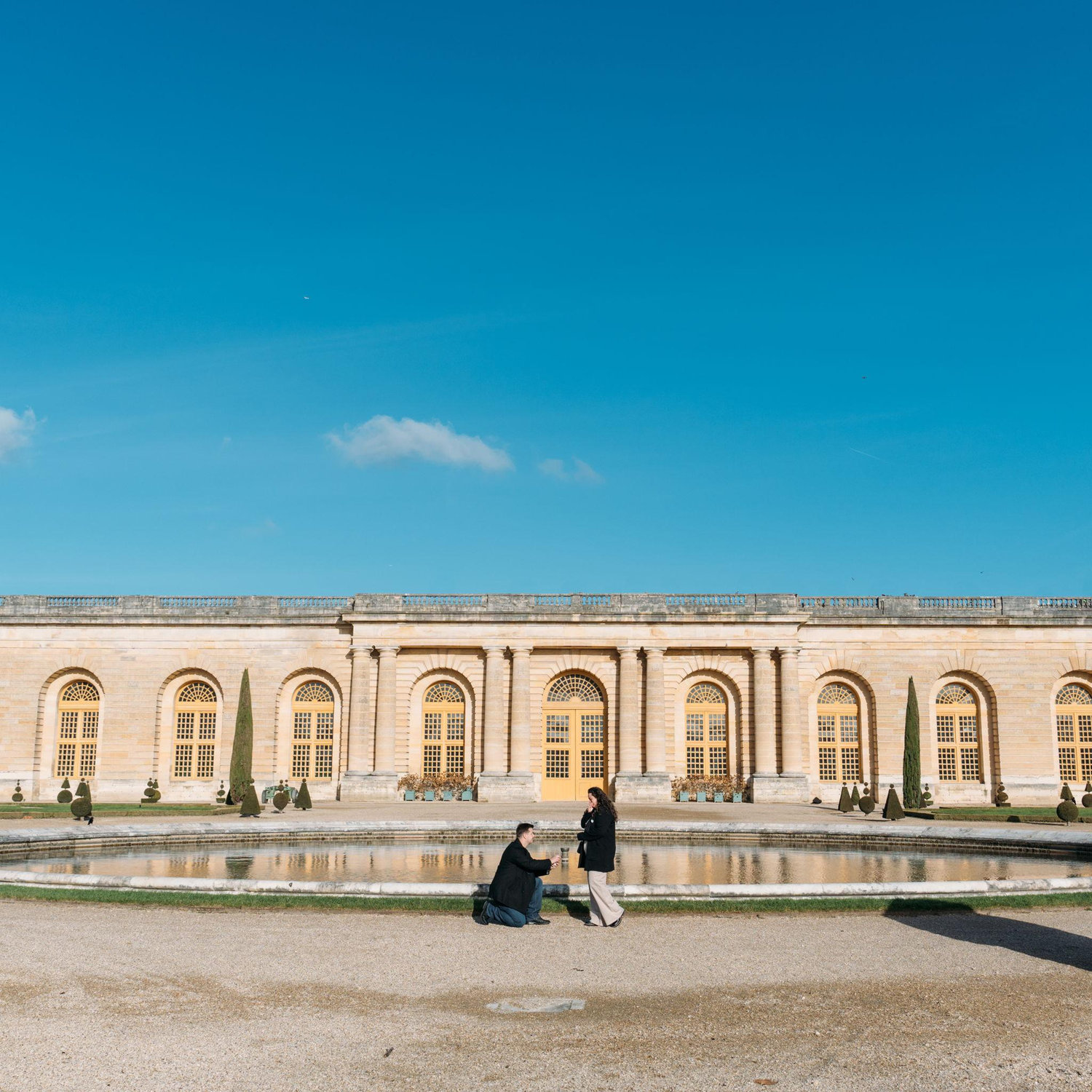 The Palace of Versailles proposal