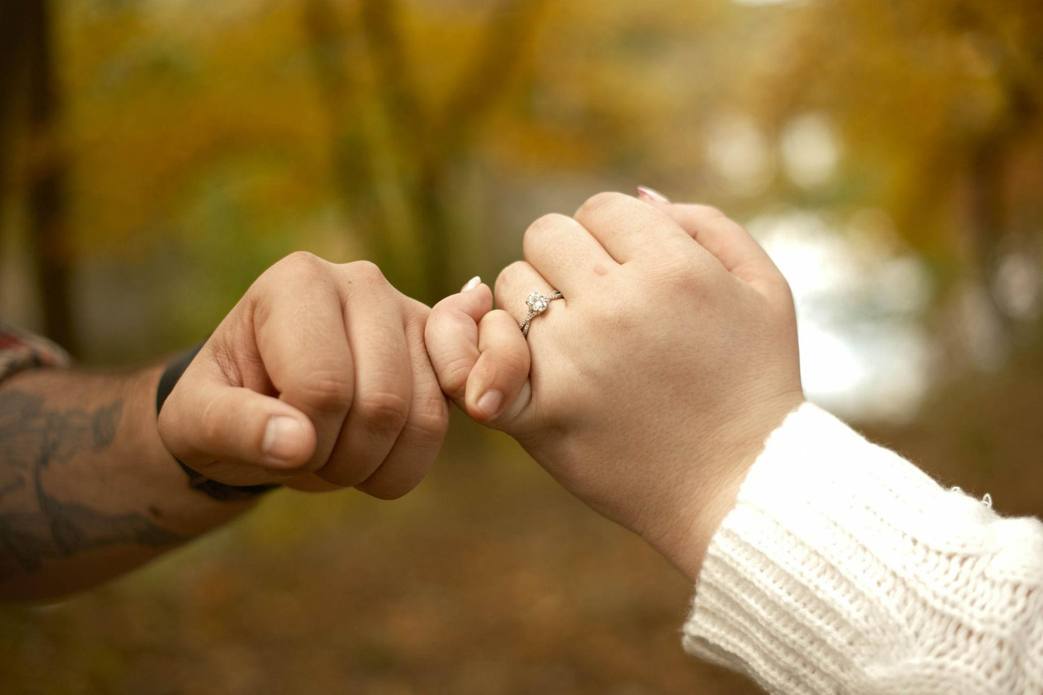 The Wedding Website of Dorothy Alayne Novello and Brandon James Wong