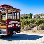 Wine Tasting