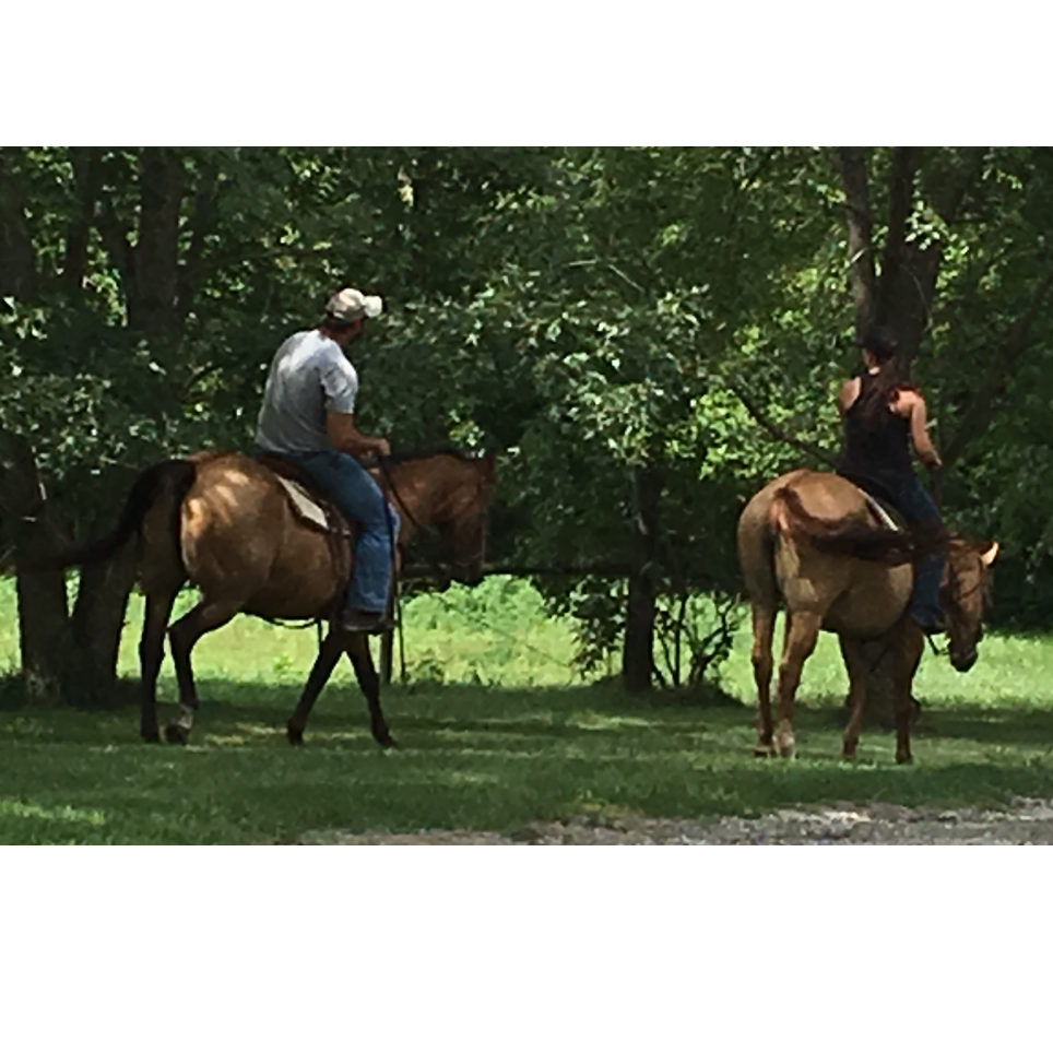 Riding horses at home