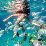 Snorkeling