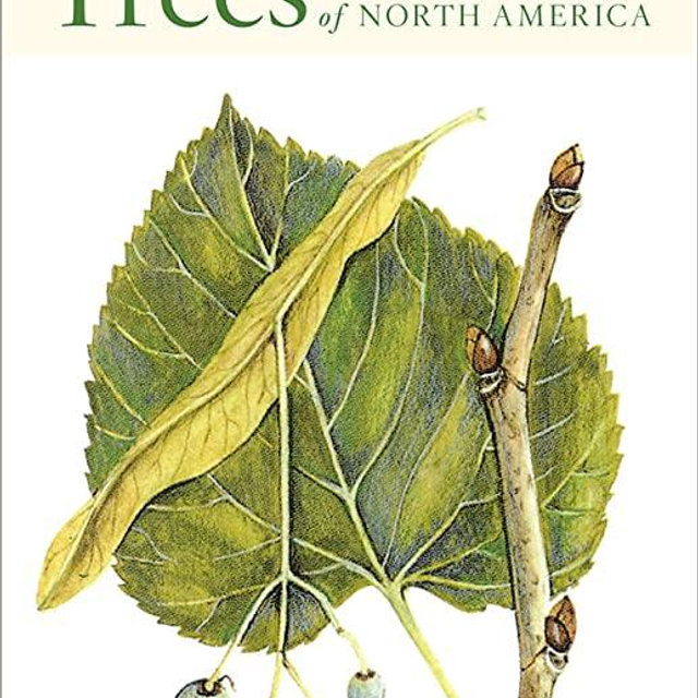 Peterson First Guide To Trees