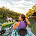 Kayak & Paddleboard Tours