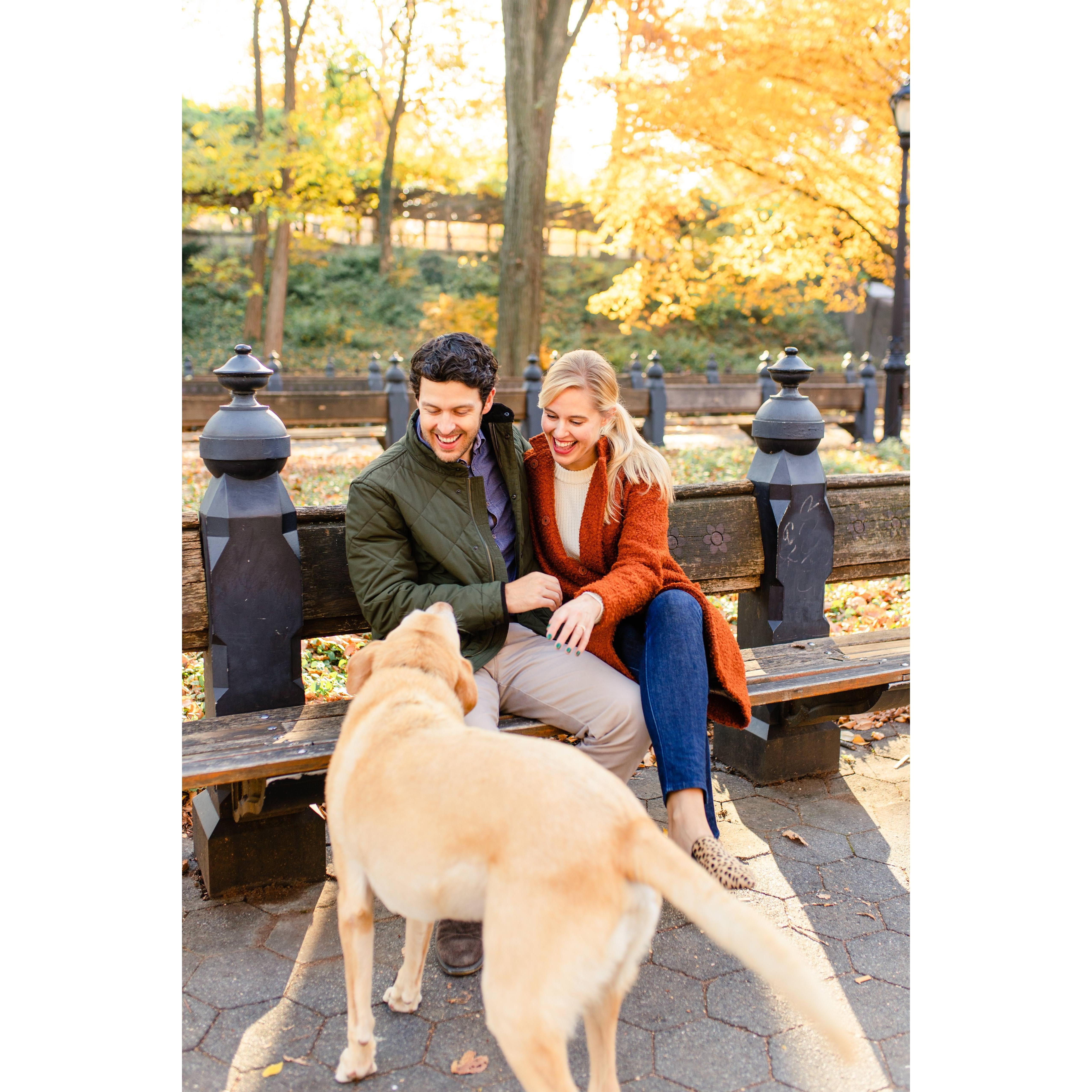 Central Park, November 2020