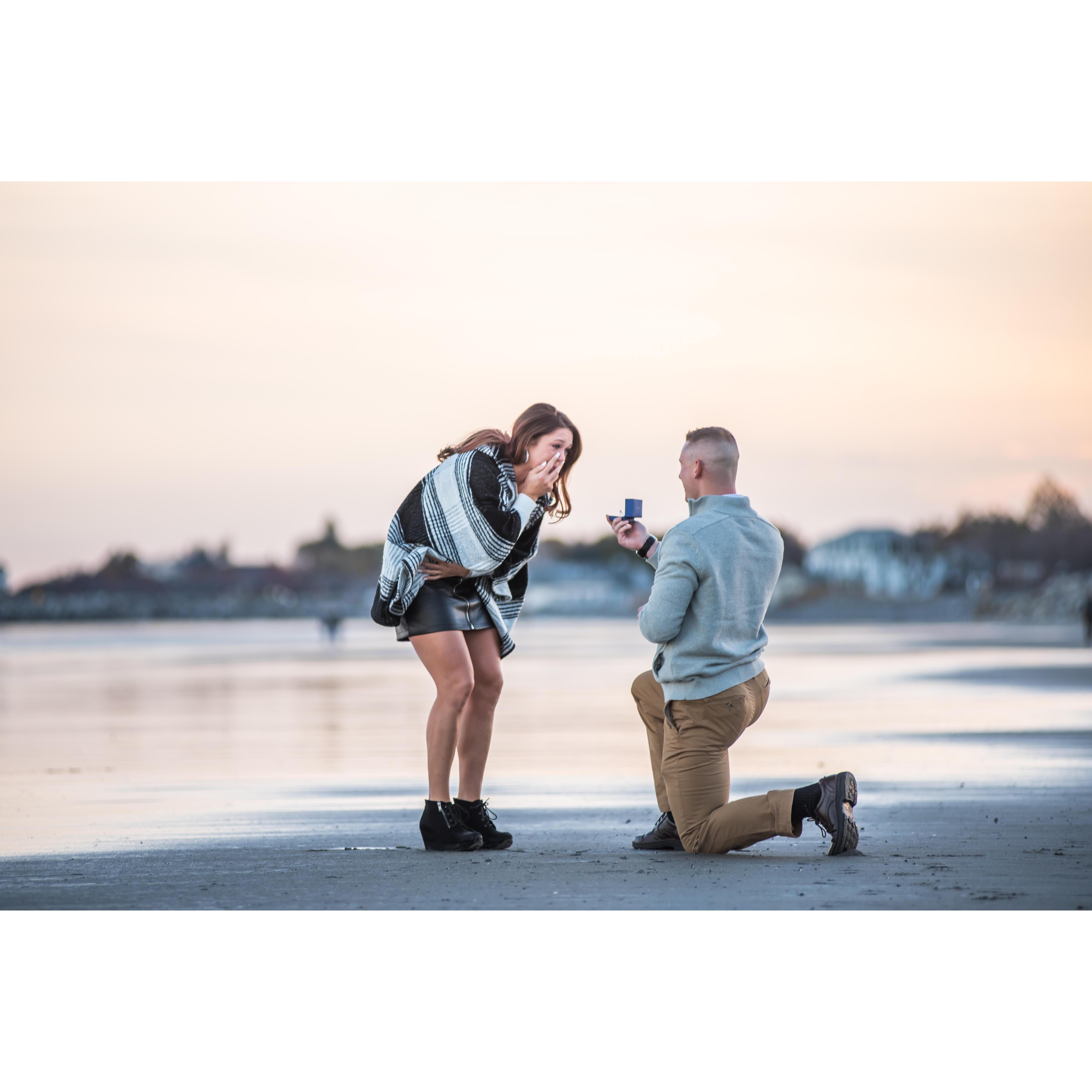 "Will you Marry me?"