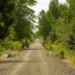 Palouse to Cascades State Park Trail