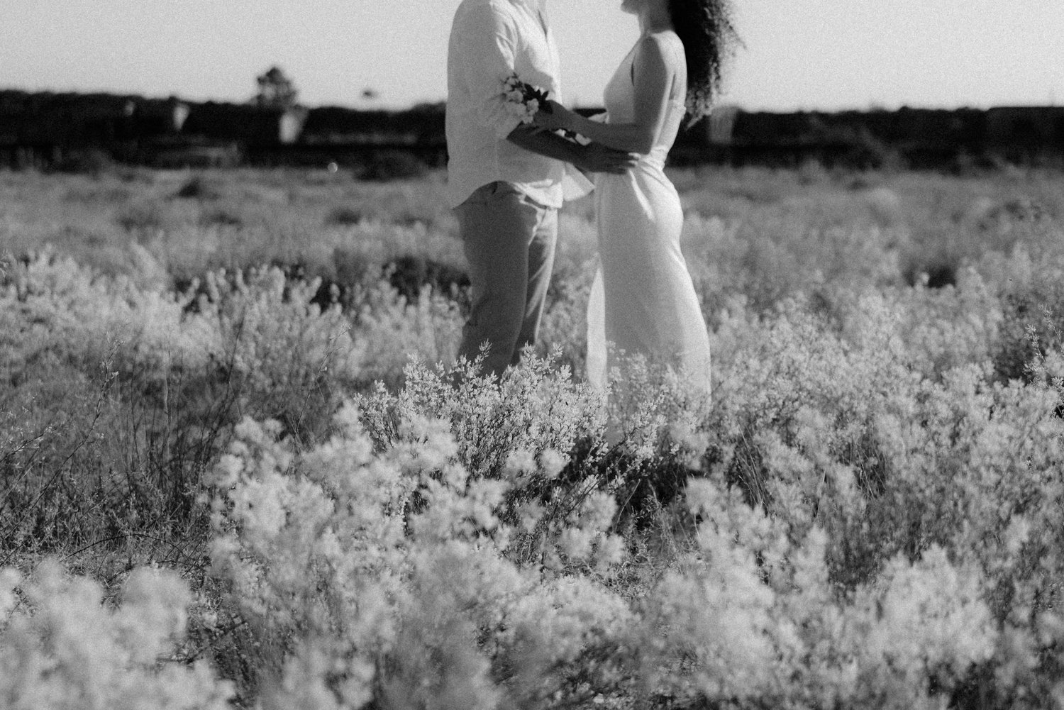 The Wedding Website of Sarah Miller and Sebastian Monnin