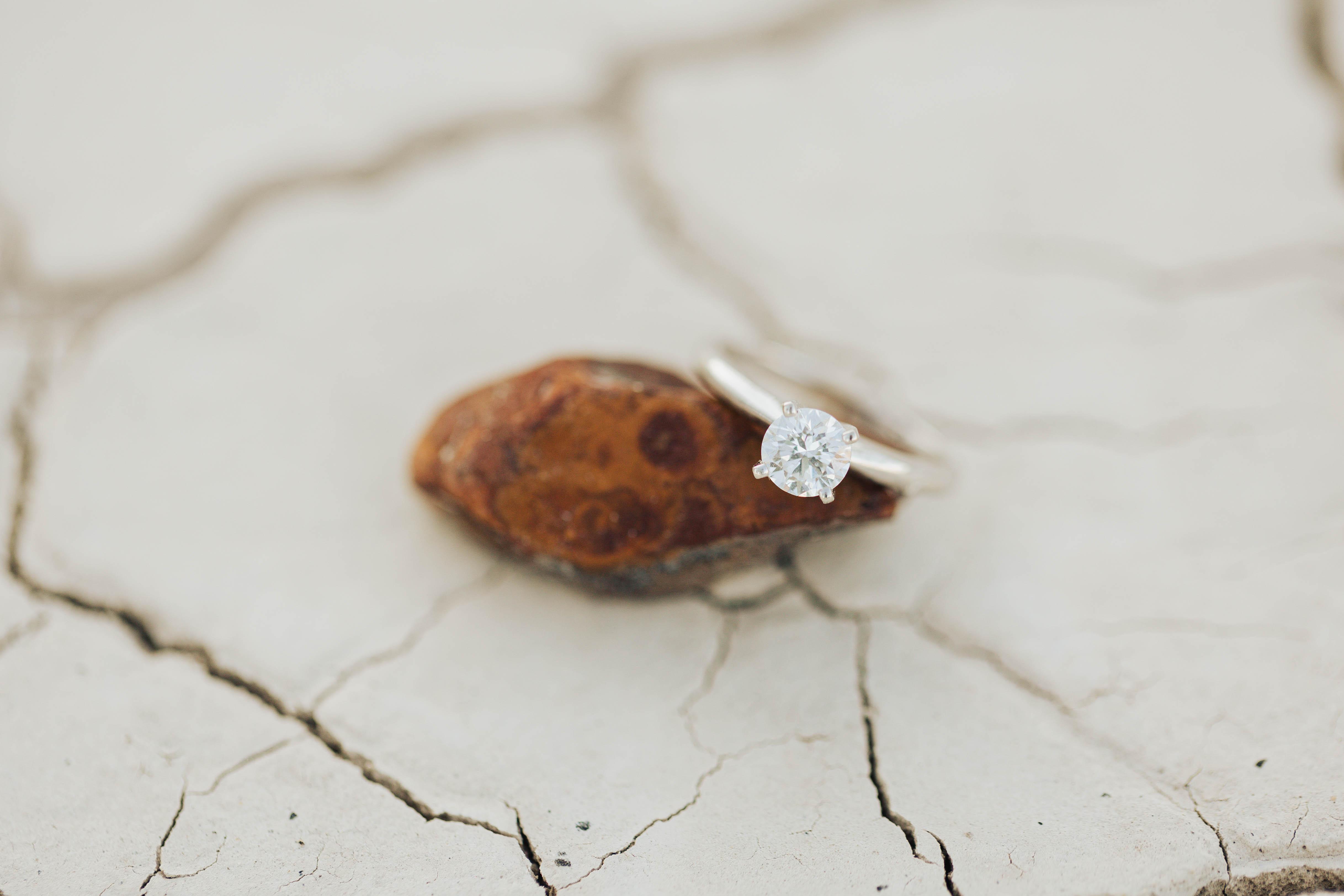 The Wedding Website of Abigail Long and Parker Wollman
