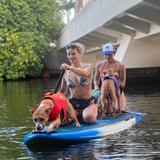 SUPDog Hawaii